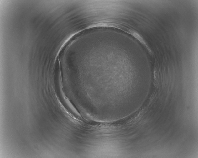 X0000061750972200512161712