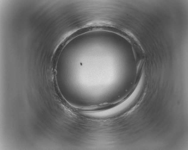 X0000061750973200512161712