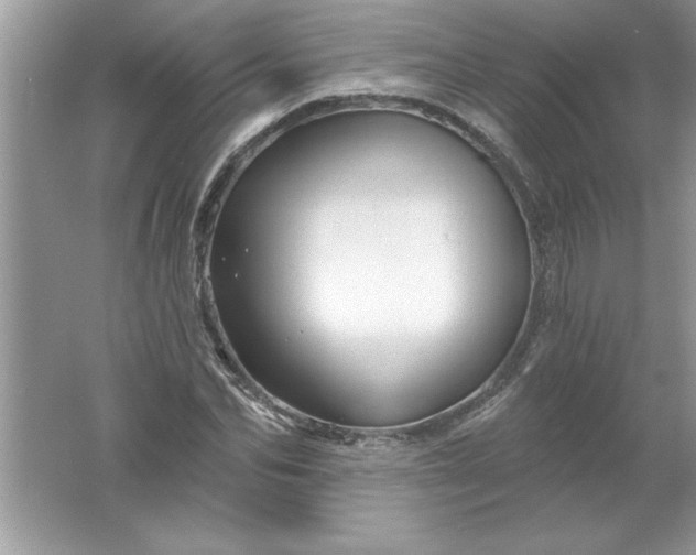 X0000061750974200512161712