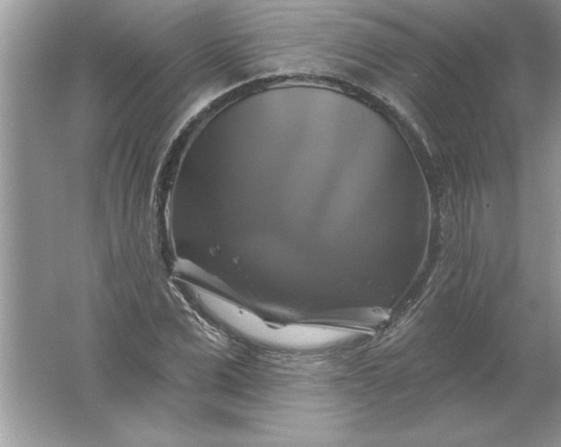 X0000061750975200512161712