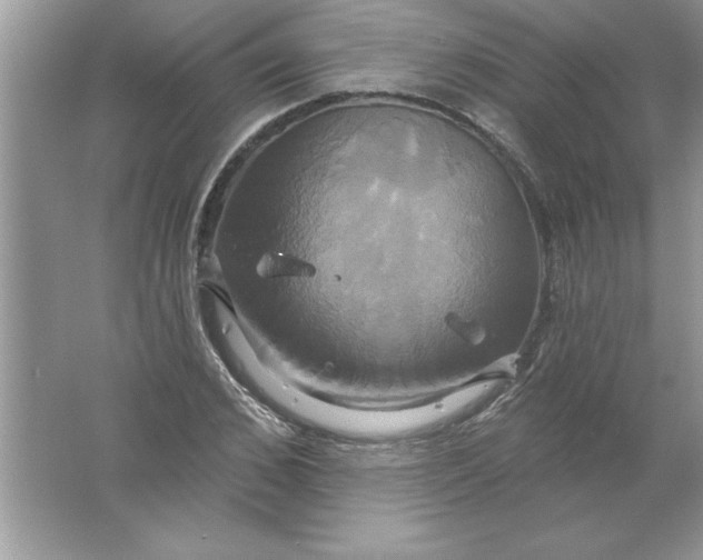 X0000061750976200512161712