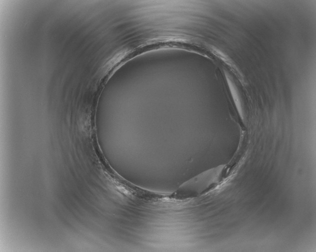 X0000061750977200512161712