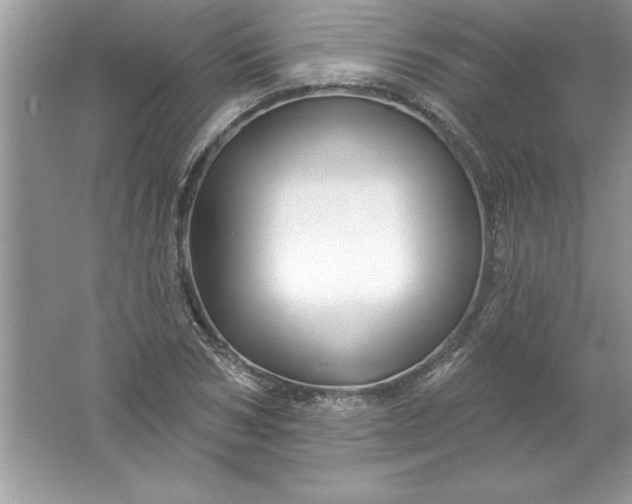 X0000061750978200512161712