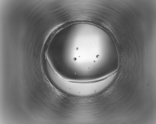 X0000061750979200512161712