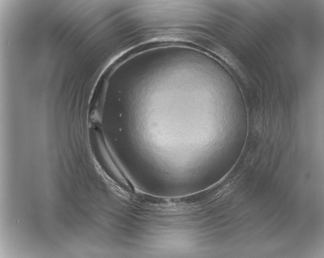 X0000061750980200512161712