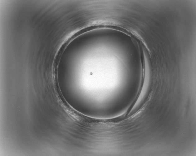 X0000061750981200512161712