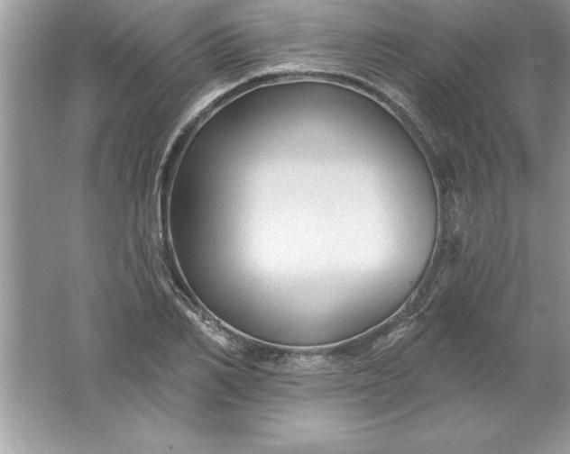 X0000061750982200512161712