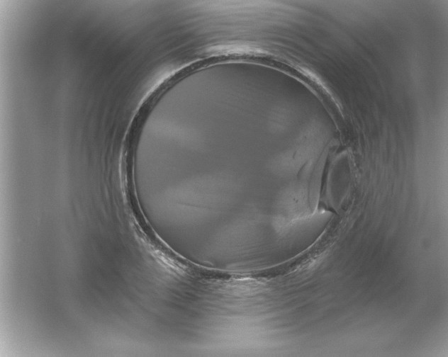 X0000061750983200512161712