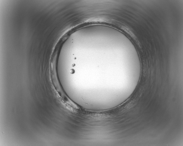 X0000061750984200512161712