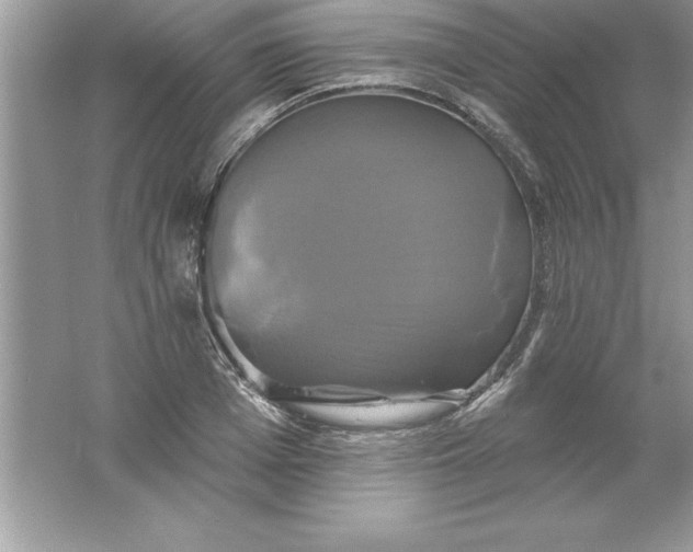 X0000061750985200512161712