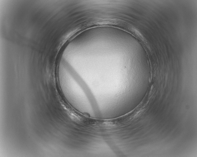 X0000061750986200512161712