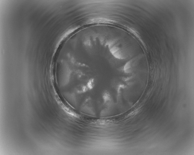 X0000061750987200512161712