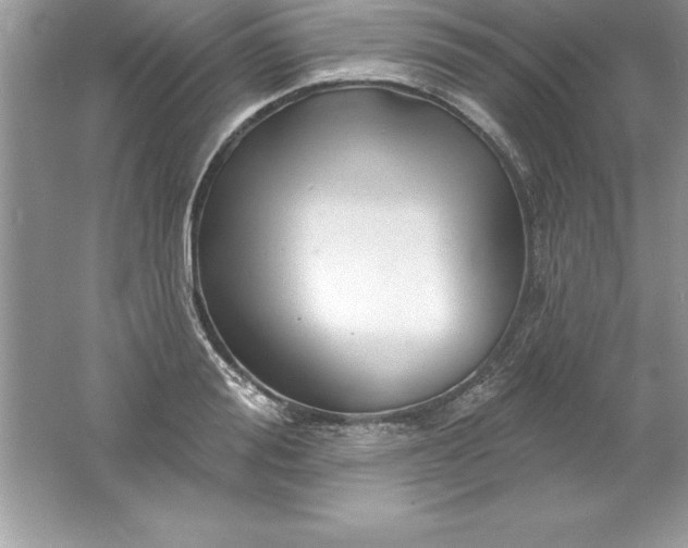 X0000061750988200512161712