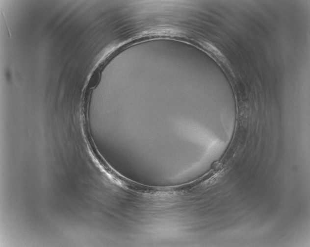 X0000061750989200512161712