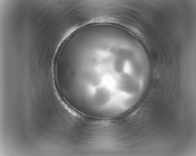 X0000061750990200512161712