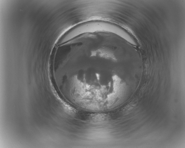 X0000061750991200512161712