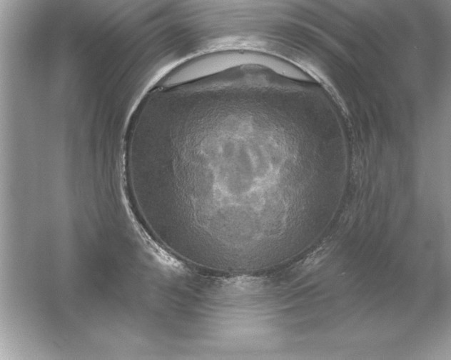 X0000061750992200512161712