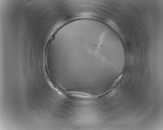 X0000061750994200512161712