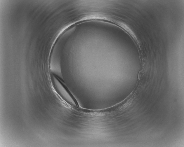 X0000061750996200512161712