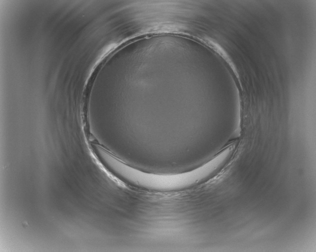 X0000061750997200512161712