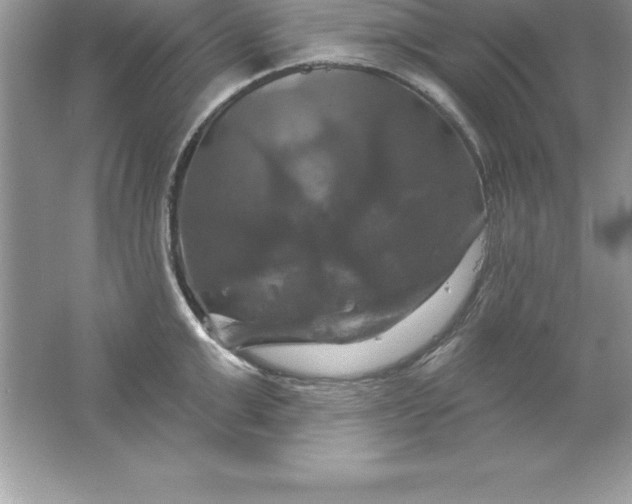 X0000061750999200512161712