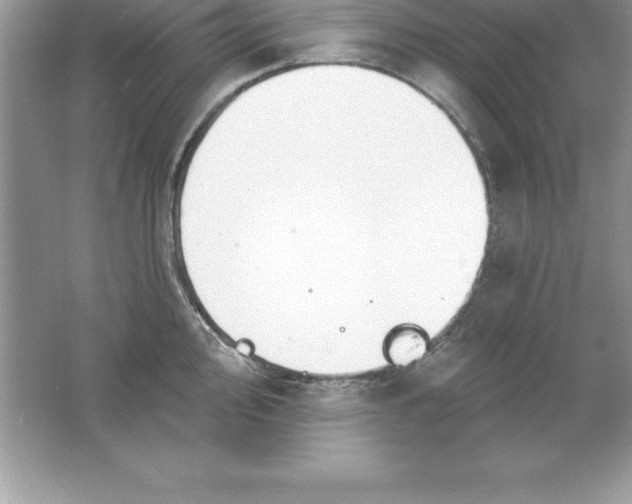 X0000061751000200512161712