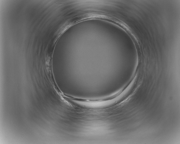 X0000061751001200512161712