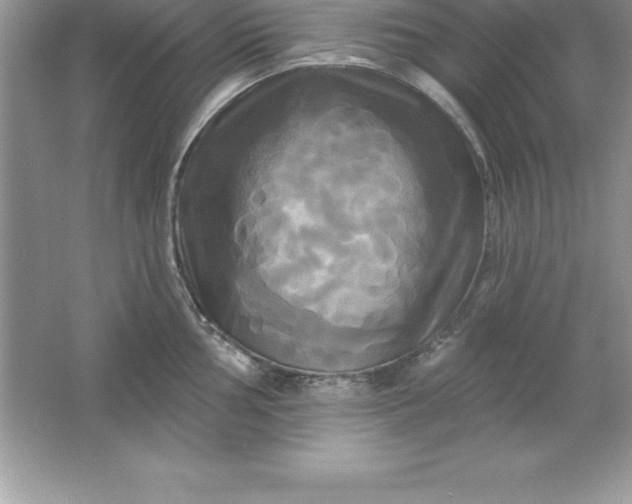 X0000061751002200512161712