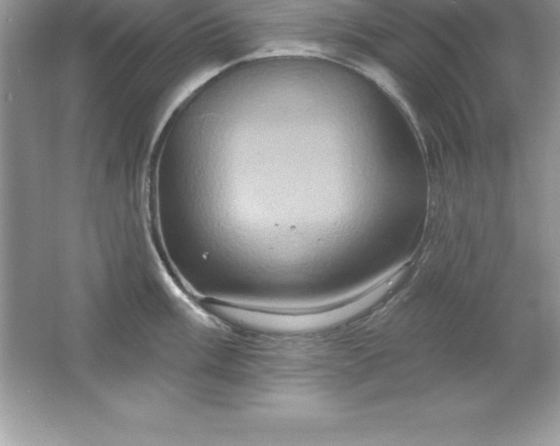 X0000061751003200512161712