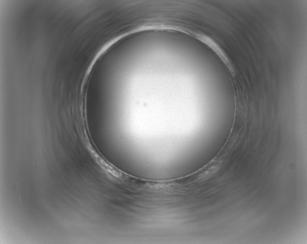 X0000061751004200512161712