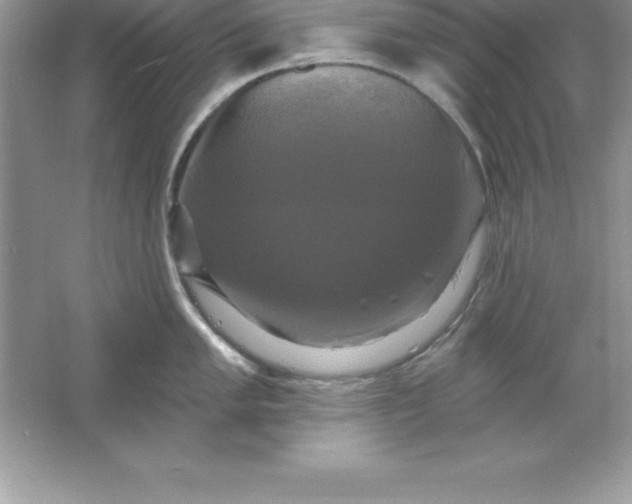 X0000061751005200512161712