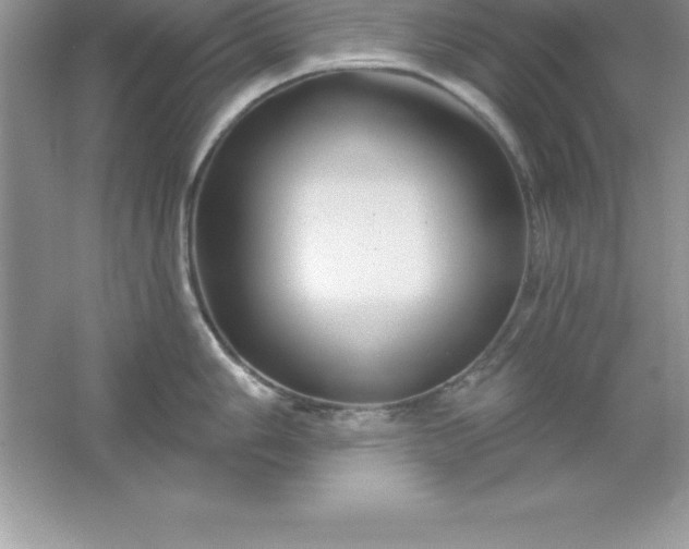 X0000061751006200512161712