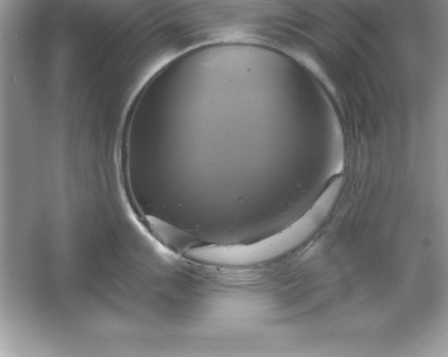 X0000061751007200512161712