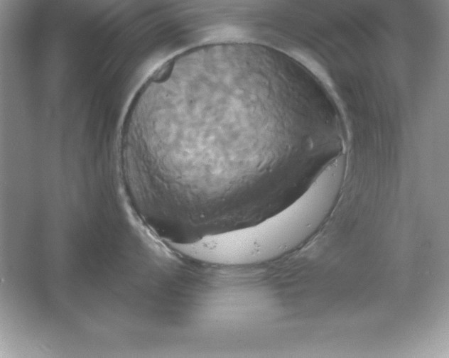 X0000061751008200512161712