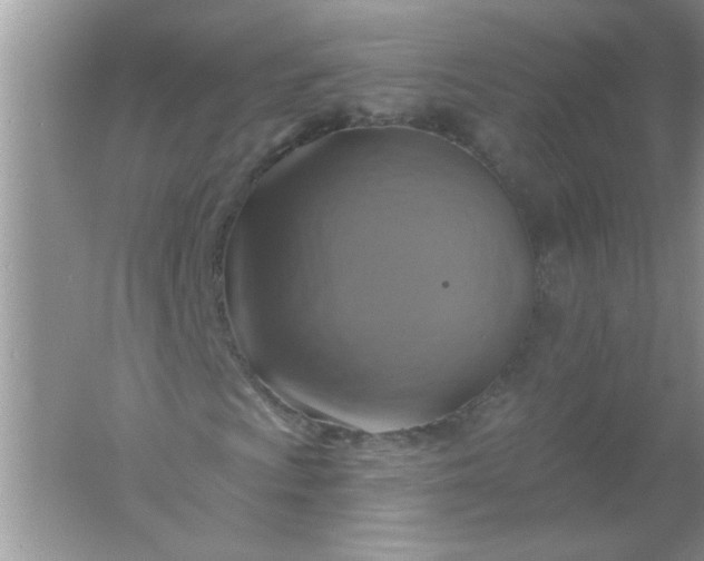 X0000061751009200512161711