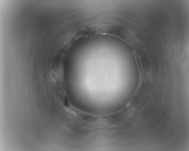 X0000061751010200512161711