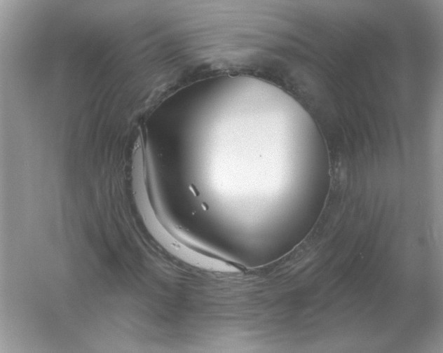 X0000061751012200512161711