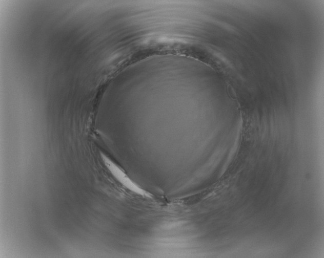 X0000061751013200512161711