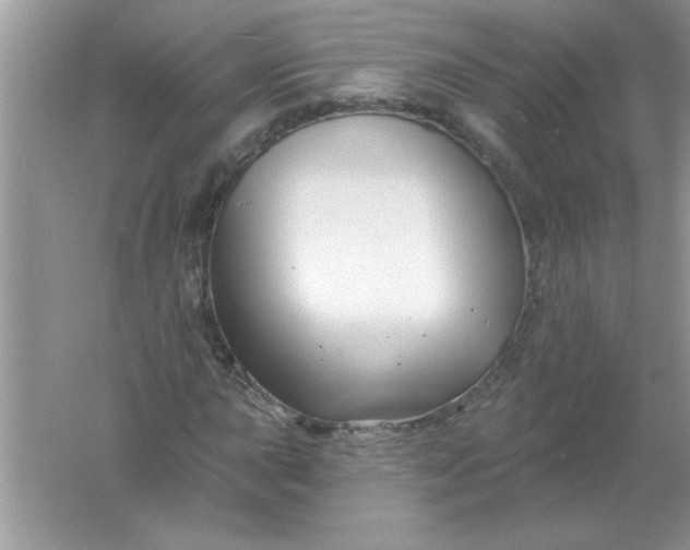 X0000061751015200512161711