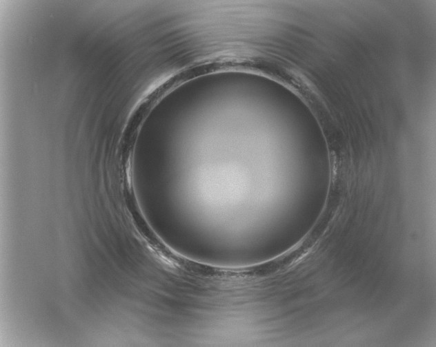 X0000061751018200512161711