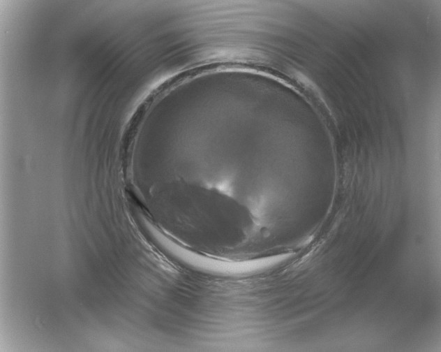 X0000061751019200512161711