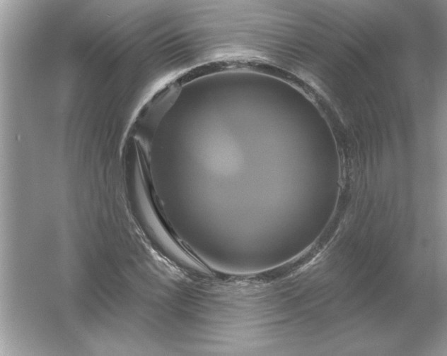 X0000061751022200512161711