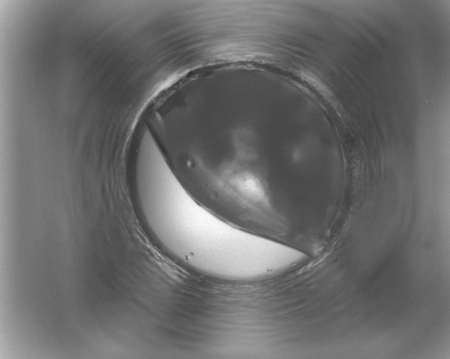 X0000061751023200512161711