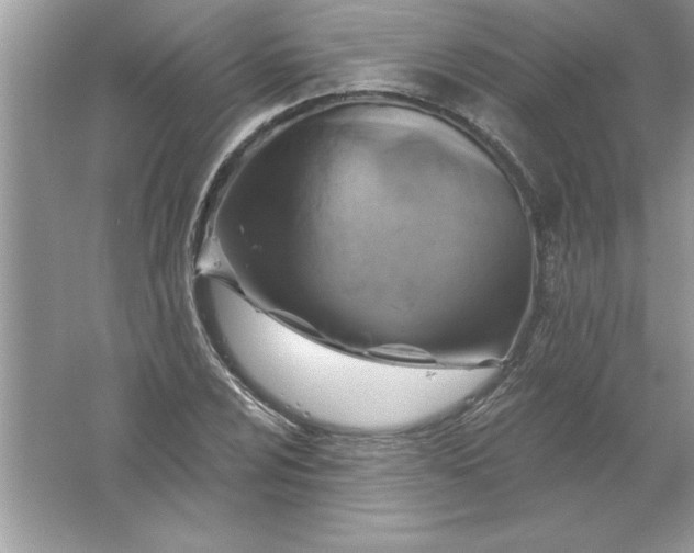 X0000061751024200512161711