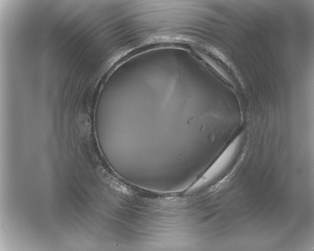 X0000061751025200512161711