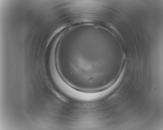 X0000061751026200512161711