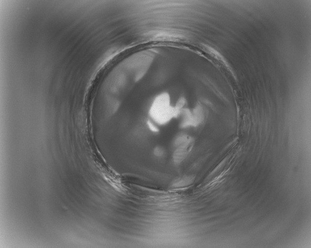 X0000061751027200512161711