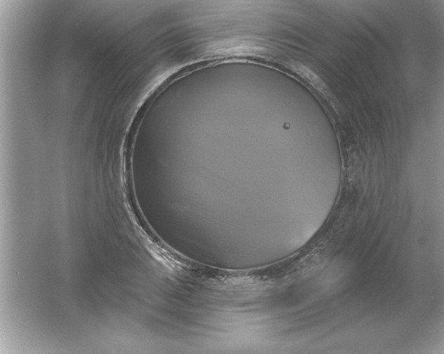 X0000061751031200512161711