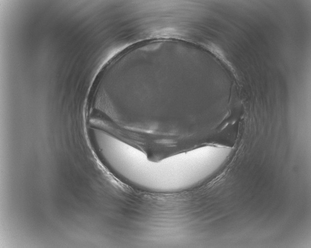 X0000061751032200512161711