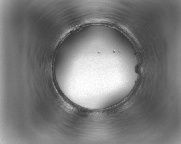 X0000061751033200512161711